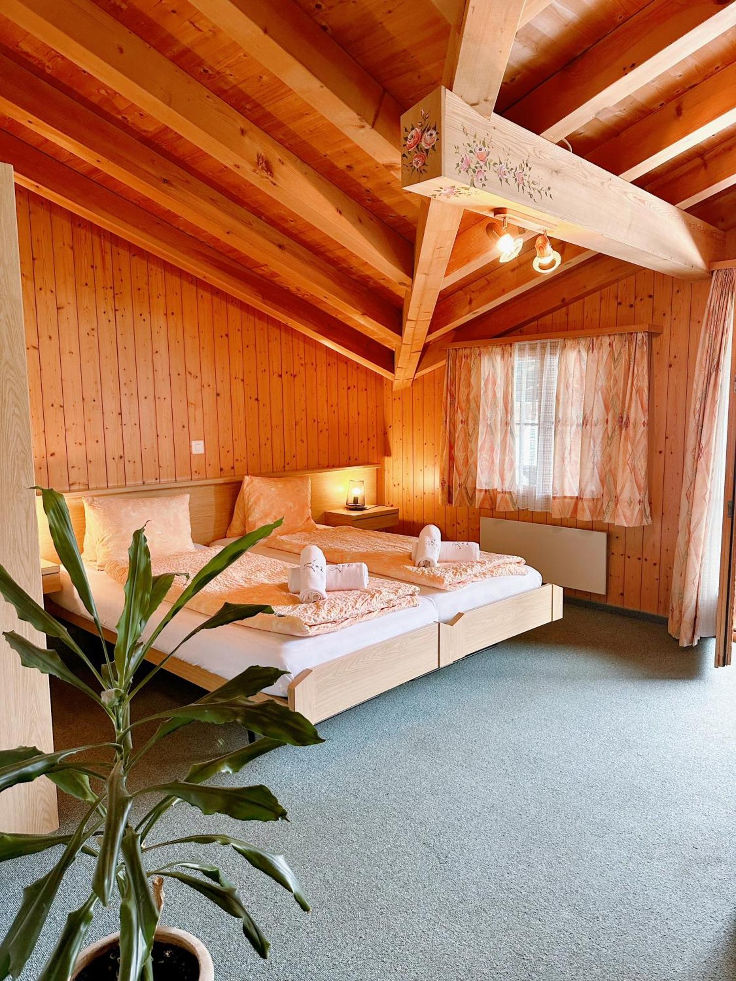 Wildbach Brienz (Bern)